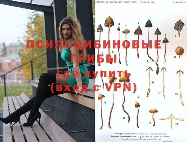 прущий лед Майский