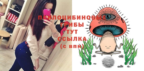 гидропоника Магадан