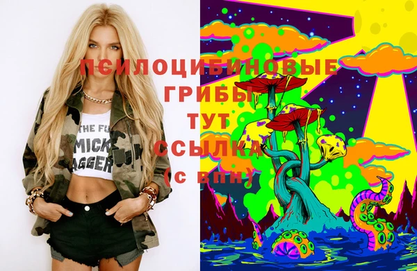 прущий лед Майский